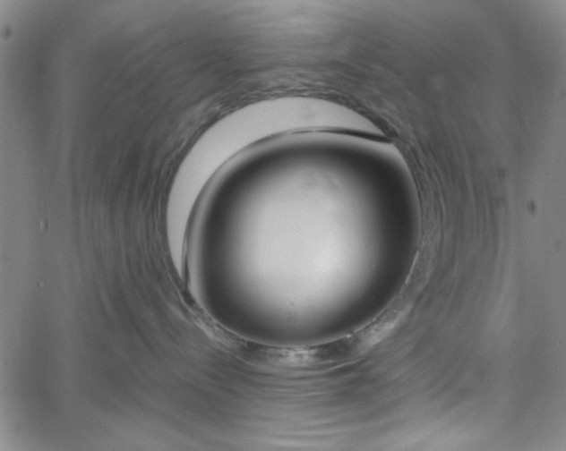 X0000058820288200510031329