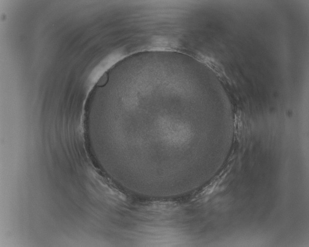 X0000058820292200510031328