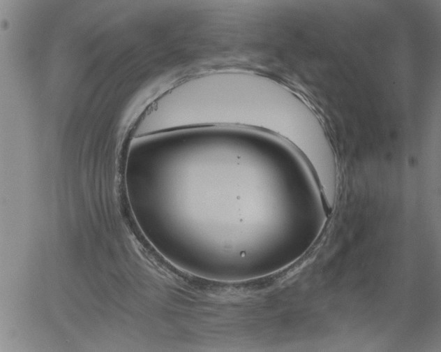 X0000058820293200510031328