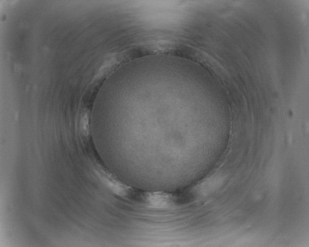 X0000058820336200510031327