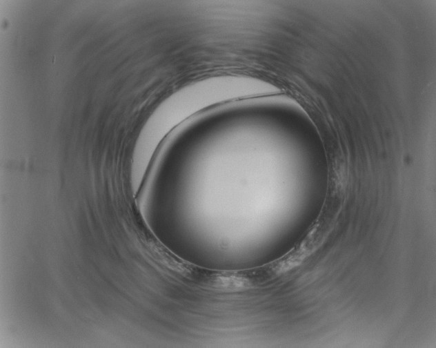 X0000058820376200510031327