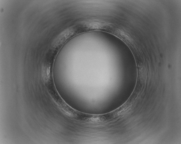 X0000058820406200510031326