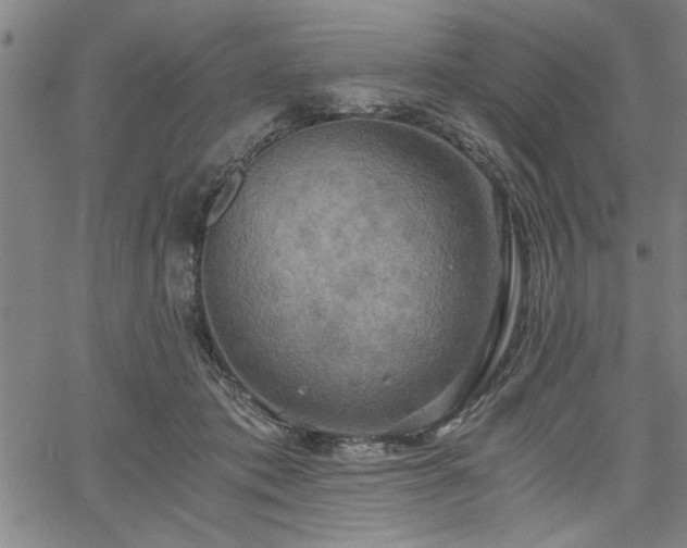 X0000058820413200510031326