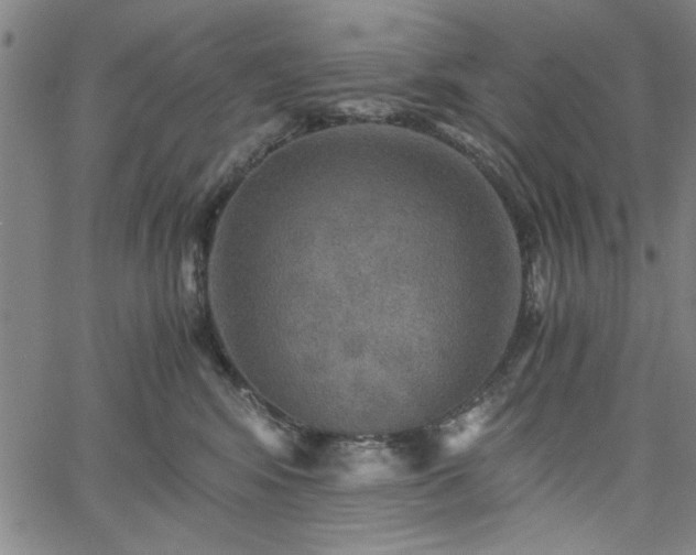 X0000058820424200510031326