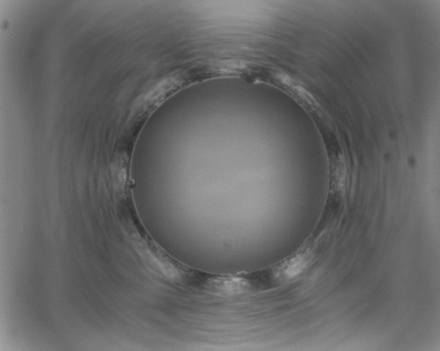 X0000058820427200510031326