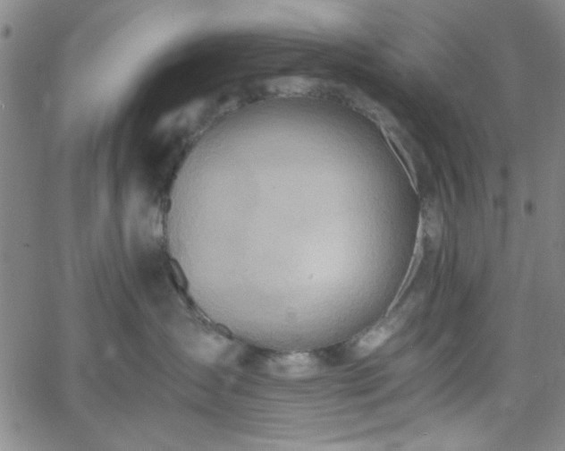 X0000058820431200510031325