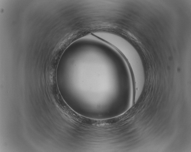 X0000058820452200510031325