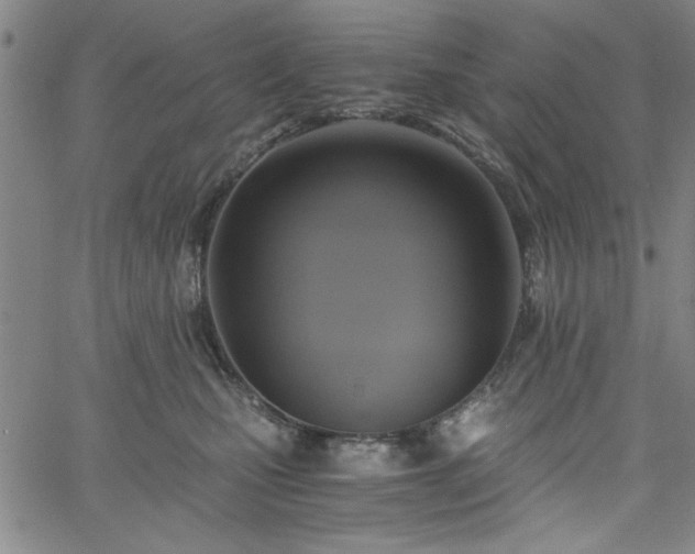 X0000058820471200510031325