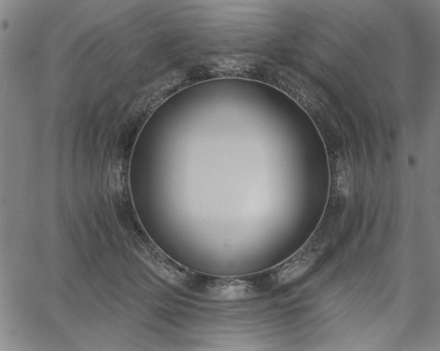 X0000058820514200510031324