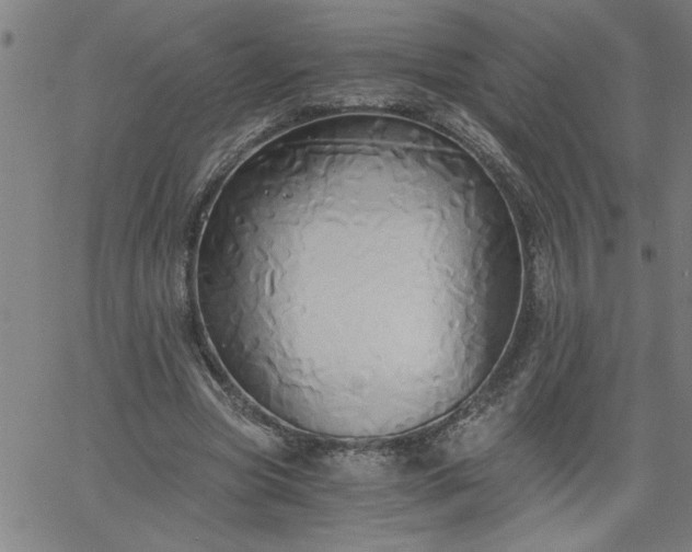 X0000058820537200510031323