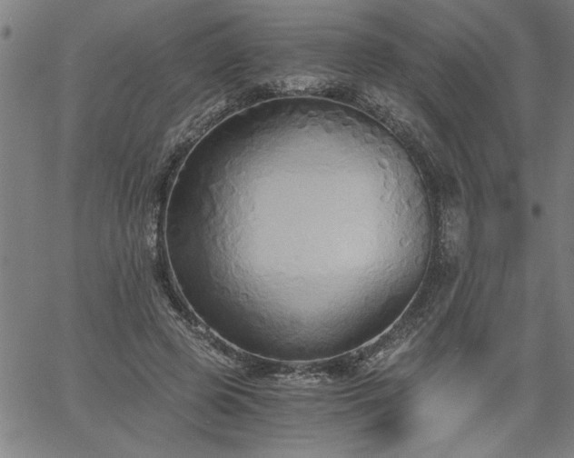 X0000058820545200510031323