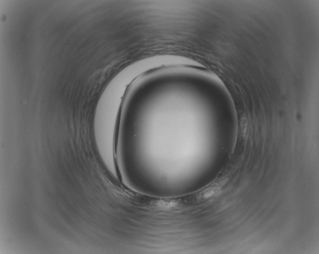 X0000058820570200510031324