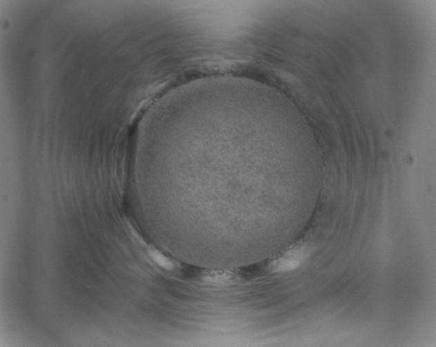 X0000058820624200510031322