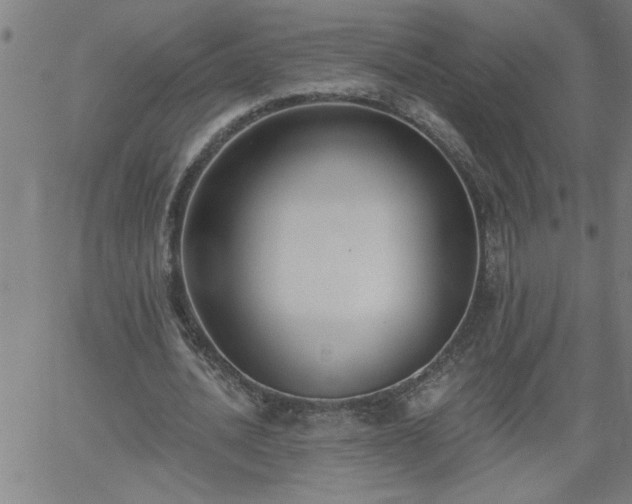 X0000058820628200510031322