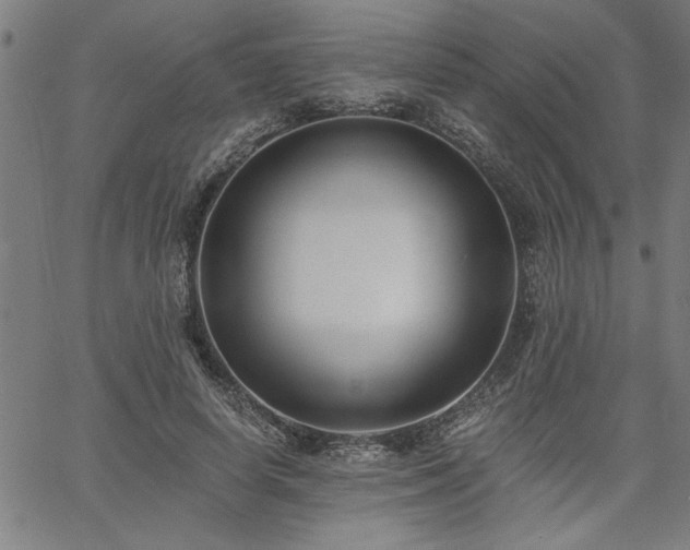 X0000058820642200510031322