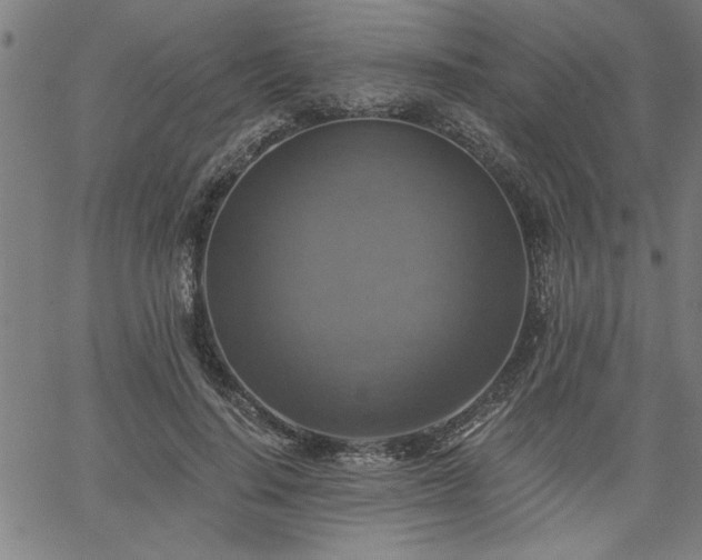 X0000058820644200510031322