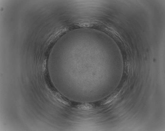 X0000058820652200510031322