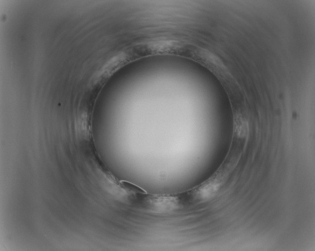X0000058820670200510031322