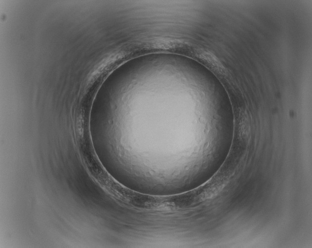 X0000058820683200510031321