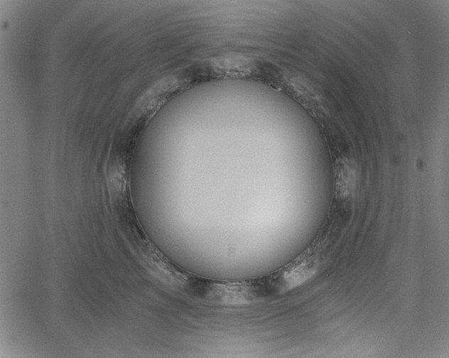 X0000058820713200510031321