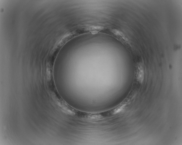 X0000058820716200510031321