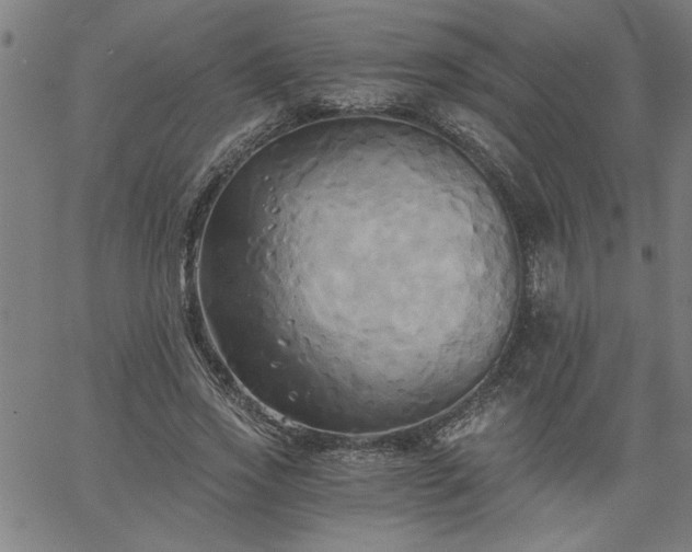 X0000058820733200510031320