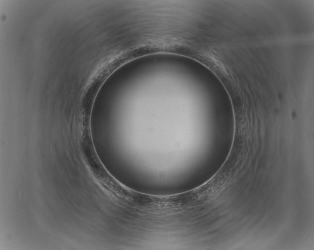 X0000058820736200510031320