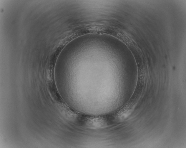 X0000058820755200510031320