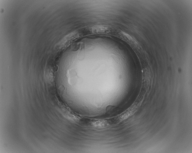 X0000058820761200510031321