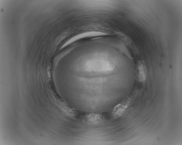 X0000058820762200510031321