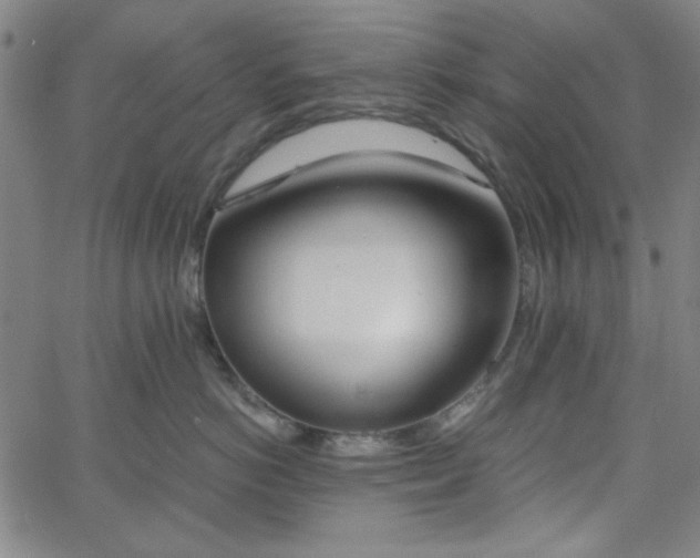 X0000058820766200510031321