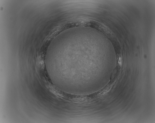 X0000058820771200510031320