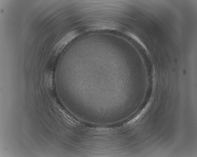 X0000058820777200510031320