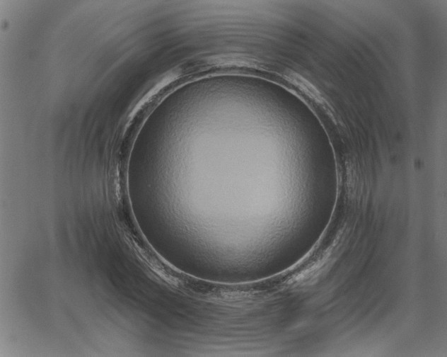 X0000058820782200510031320