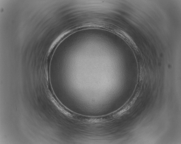 X0000058820796200510031319