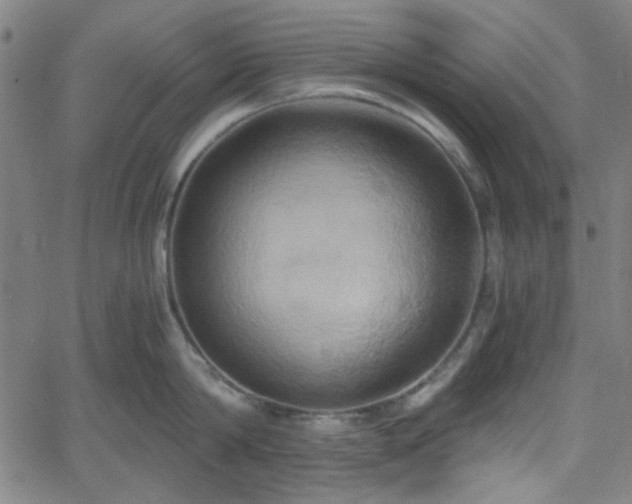 X0000058820814200510031319