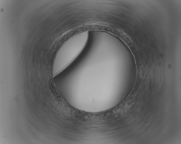 X0000058820821200510031318