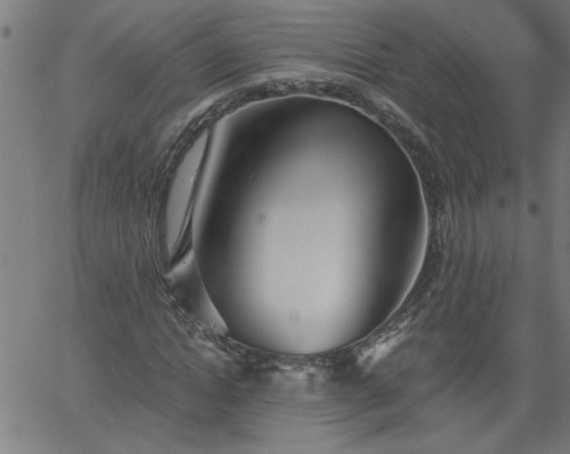 X0000058820822200510031318