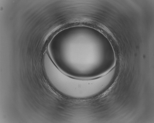 X0000058820826200510031318