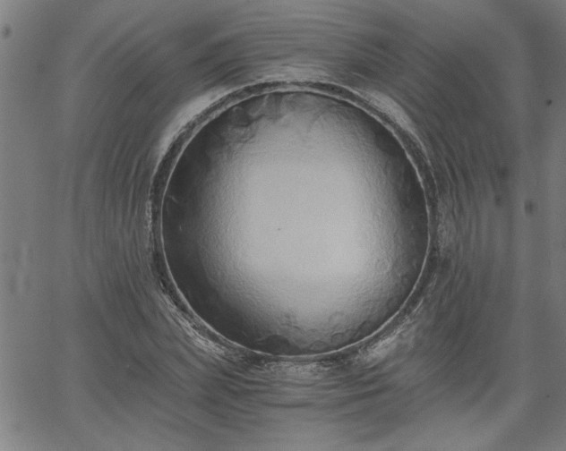 X0000058820831200510031318