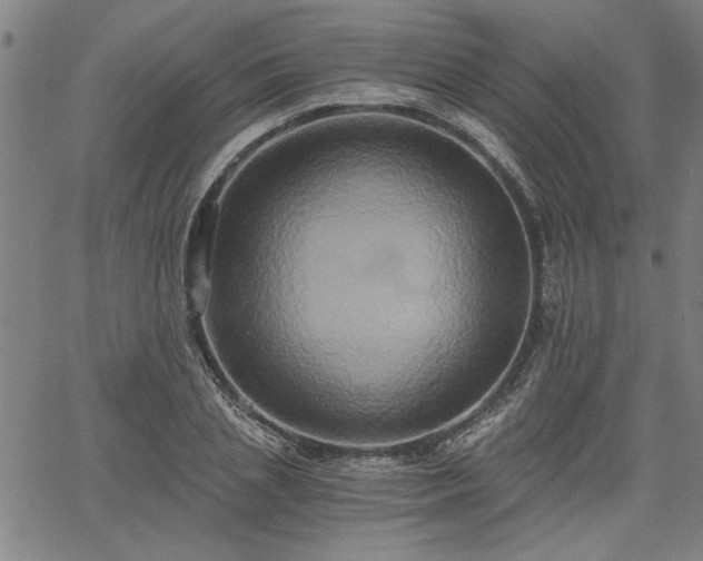 X0000058820837200510031319
