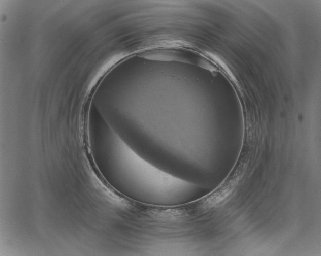 X0000058820851200510031319