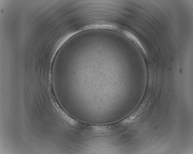 X0000058820852200510031319