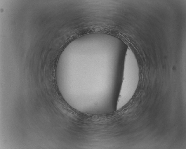 X0000058820865200510031318