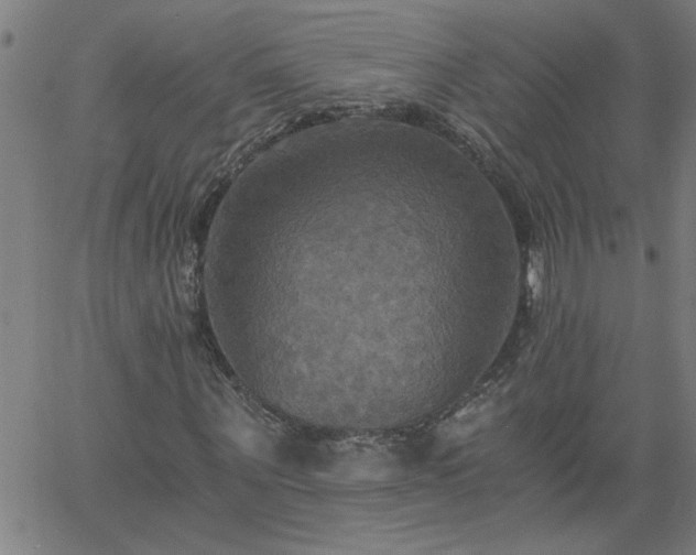 X0000058820867200510031318