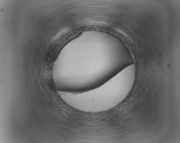 X0000058820869200510031318