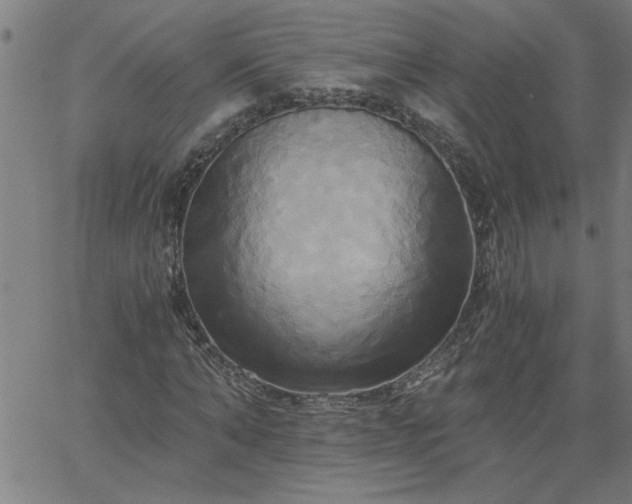 X0000058820870200510031318