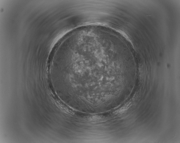 X0000058820879200510031318
