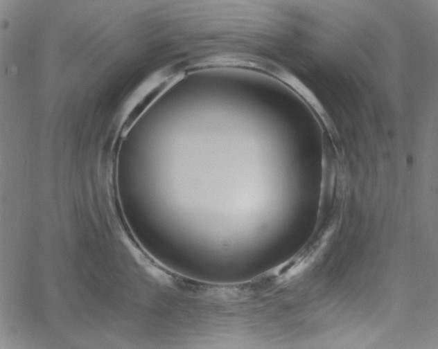 X0000058820909200510031317