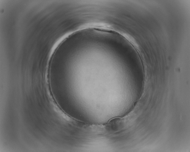 X0000058820912200510031317